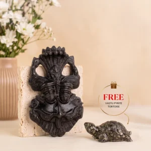 Kirtimukha with FREE Vastu Pyrite Tortoise